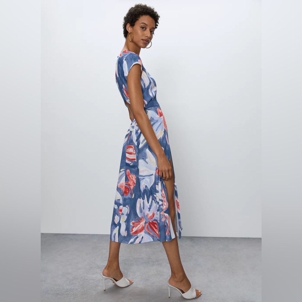 Aritzia Babaton Hamptons Dress